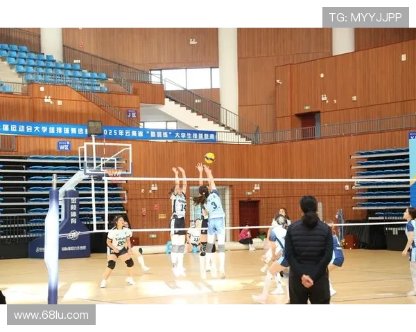 重庆排球队的耐力之道：排球巨献背后的坚持与拼搏