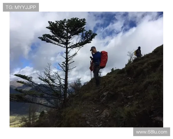 TES逆袭之路:从低谷到巅峰的王者荣耀传奇之旅 TES逆袭之路:从低谷到巅峰的王者荣耀传奇之旅